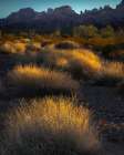 USA-Arizona-Kofa National Wildlife Area-Mountain and desert landscape at sunrise Art Print